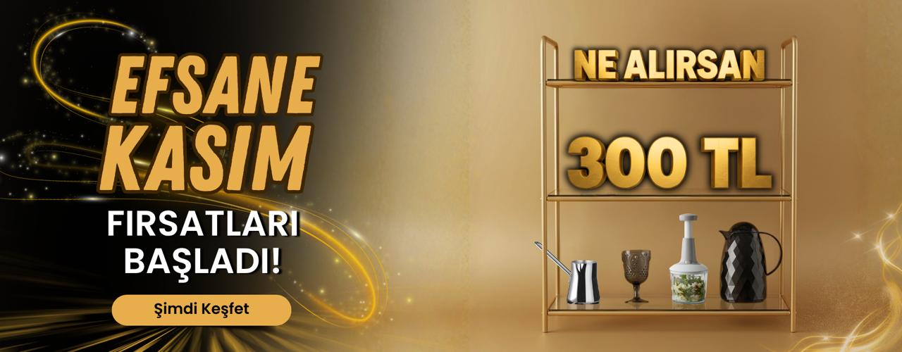 NE ALIRSAN 300 TL